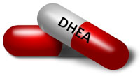 production du DHEA